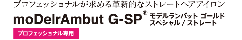 【正規品】モデルランバット G-SP